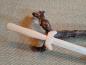 Mobile Preview: Handgefertigter Tai Chi Schwert aus Eschenholz♥ Übungswaffe für Dein Tai-Chi-Training ✅ Waffen für Tai Chi ✓ Tai Chi Chuan ✓ Taichi ✓100% Handarbeit ✔ günstig kaufen ✓ nur hier erhältlich ✔jetzt online bestellen ➽ www.bokken-welt.de