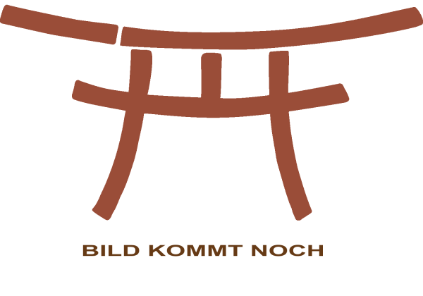 Bokken made of birch - standard shape ➽ www.bokken-shop.de ✅ suitable for Aikido ✓ Iaido ✓ Ju-Jutsu ✓ Jodo ✓ Kendo ✔ Your martial arts shop!