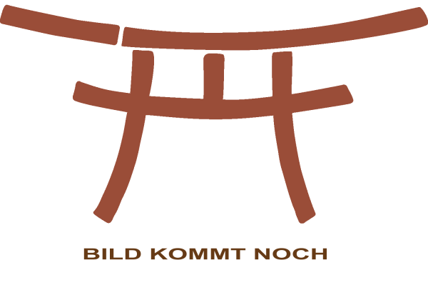 Shoto/Wakizashi aus Walnuss in der Standard-Form ➤ www.bokken-shop.de. Passend für für Deine Kampfkunst Aikido, Iaido. Dein Fachhändler für Kampfkunst!