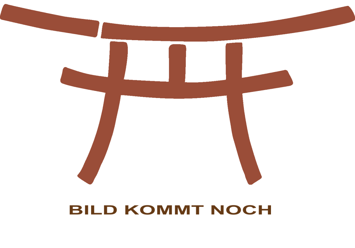 Shoto/Wakizashi aus Walnuss in der Standard-Form ➤ www.bokken-shop.de. Passend für für Deine Kampfkunst Aikido, Iaido. Dein Fachhändler für Kampfkunst!